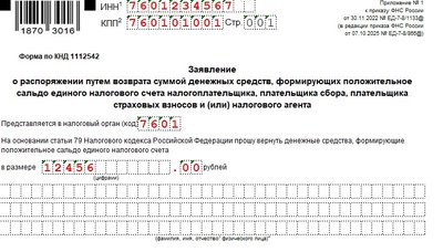 Образец заявления на возврат сальдо ЕНС