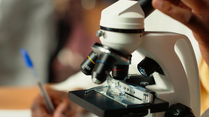 Экспертиза по НК РФ