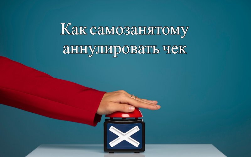 Аннулировать чек самозанятому