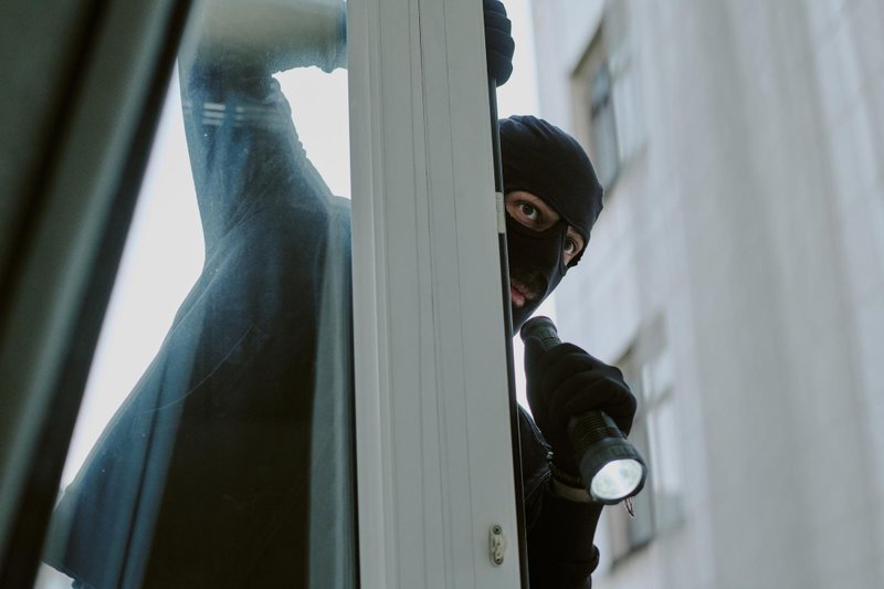 Необходимая оборона и крайняя необходимость