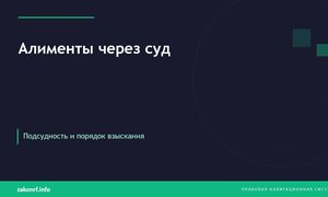 Алименты через суд.