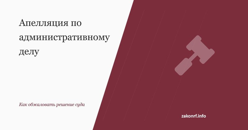 Апелляция по административному делу.