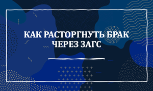 БРАК ЧЕРЕЗ ЗАГС РАСТОРЖЕНИЕ