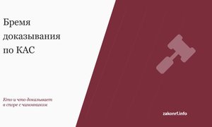 Бремя доказывания по КАС.