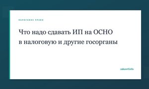 Что надо сдавать ИП на ОСНО в налоговую и другие госорганы