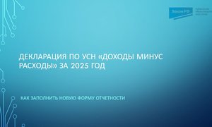 Декларация УСН д-р