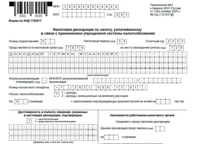 Декларация УСН «Доходы»: образец