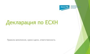 Декларация по ЕСХН