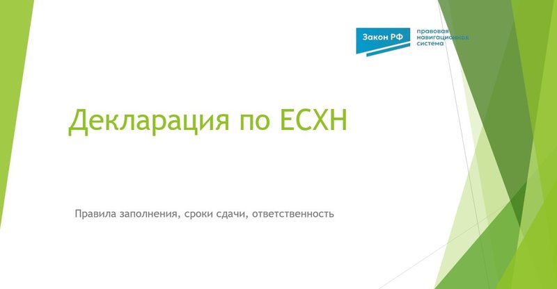 Декларация по ЕСХН