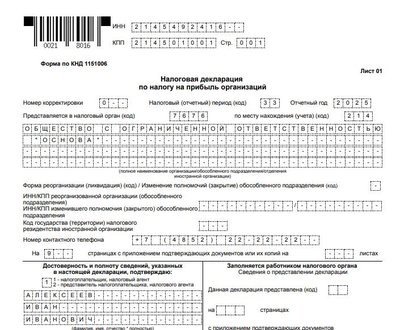 Образец декларации по налогу на прибыль