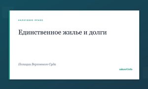 Единственное жилье и долги.
