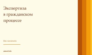 Экспертиза в гражданском процессе.