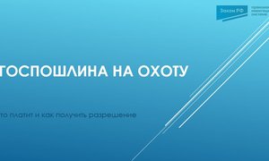 Госпошлина охота