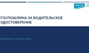 Госпошлина права