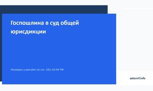 Госпошлина в суд общей юрисдикции