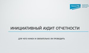 Инициативный аудит