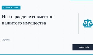 Иск о разделе совместно нажитого имущества.