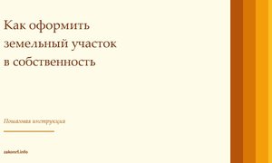 Как оформить земельный участок в собственность.