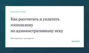 Как рассчитать и уплатить госпошлину по административному иску.