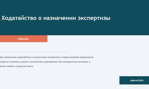 Ходатайство о назначении экспертизы.