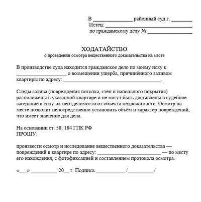 Ходатайство о проведении осмотра вещественного доказательства на месте