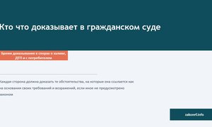 Кто что доказывает в гражданском суде.