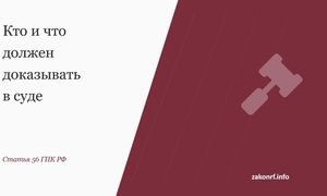Кто и что должен доказывать в суде.