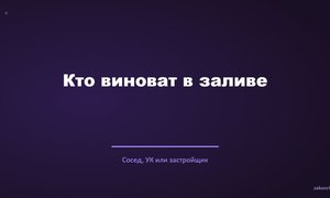 Кто виноват в заливе.