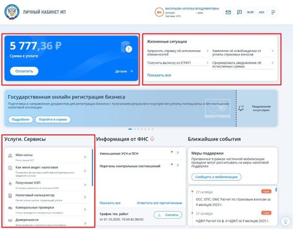 Главная страница ЛК ИП