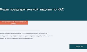 Меры предварительной защиты по КАС.