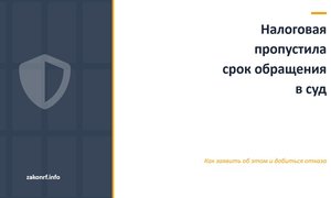 Налоговая пропустила срок обращения в суд.
