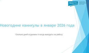 Новогодние каникулы