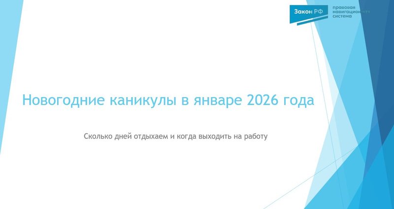 Новогодние каникулы