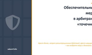 Обеспечительные меры в арбитражном суде