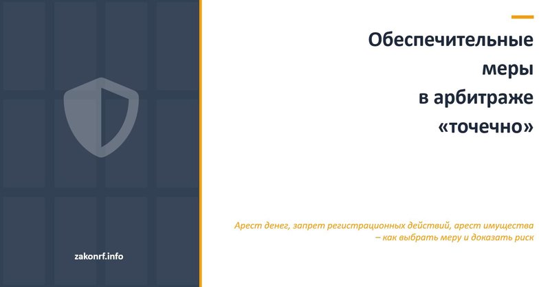 Обеспечительные меры в арбитражном суде