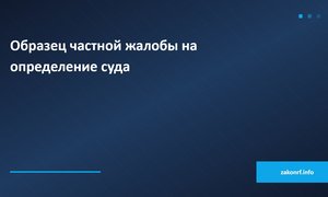 Образец частной жалобы по ГПК.