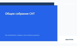 Общее собрание СНТ.