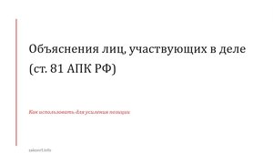 Объяснения лиц, участвующих в деле (ст. 81 АПК РФ).