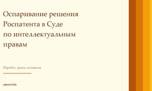 Оспаривание решения Роспатента в Суде по интеллектуальным правам.