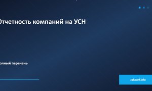 Отчетность компании на УСН
