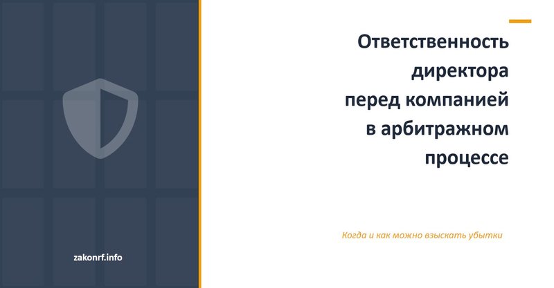 Ответственность директора перед компанией в арбитражном процессе