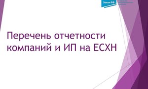 Перечень отчетности компаний и ИП на ЕСХН