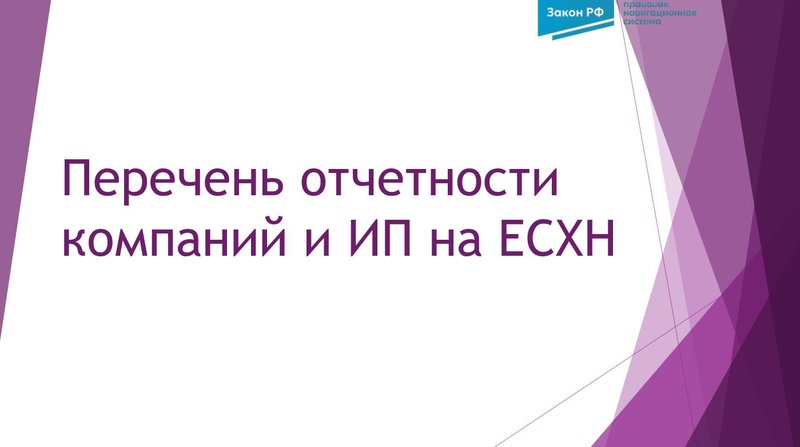 Перечень отчетности компаний и ИП на ЕСХН
