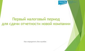 Первый налоговый период для сдачи отчетности