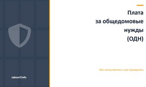 Плата за общедомовые нужды (ОДН).