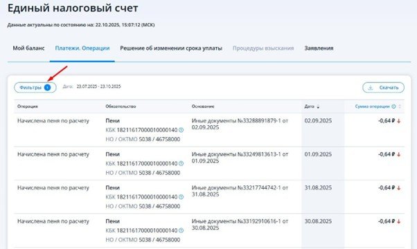 Платежи ЛК ИП