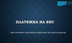 Платежка на ЕНС