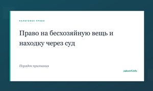 Право на бесхозяйную вещь и находку через суд.