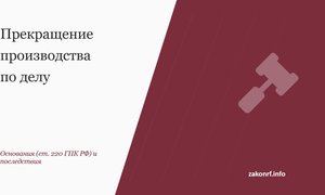 Прекращение производства по делу.