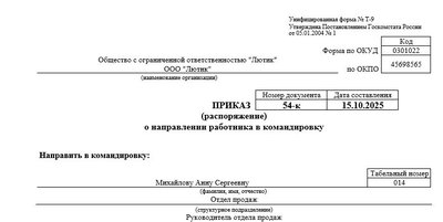 Приказ на командировку: образец